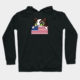 Simba USA Hoodie